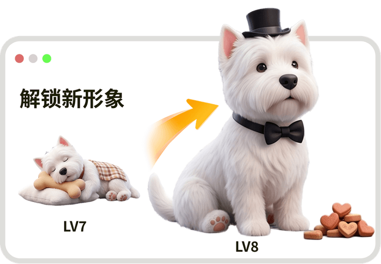 宠物成长反馈